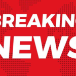 3 Killed as Tree Falls During Easter Egg Hunt in Germany