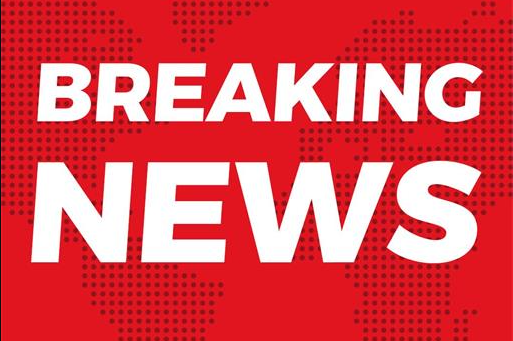 3 Killed as Tree Falls During Easter Egg Hunt in Germany