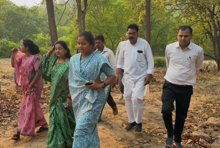 Electricity to Reach Remote Villages of Surajpur After 78 Years of Darkness